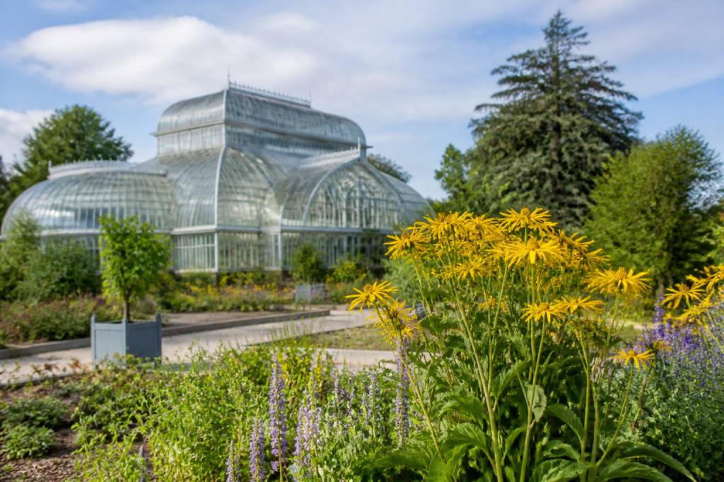 Jardin botanique Dijon : plantes, histoire et conseils de visite