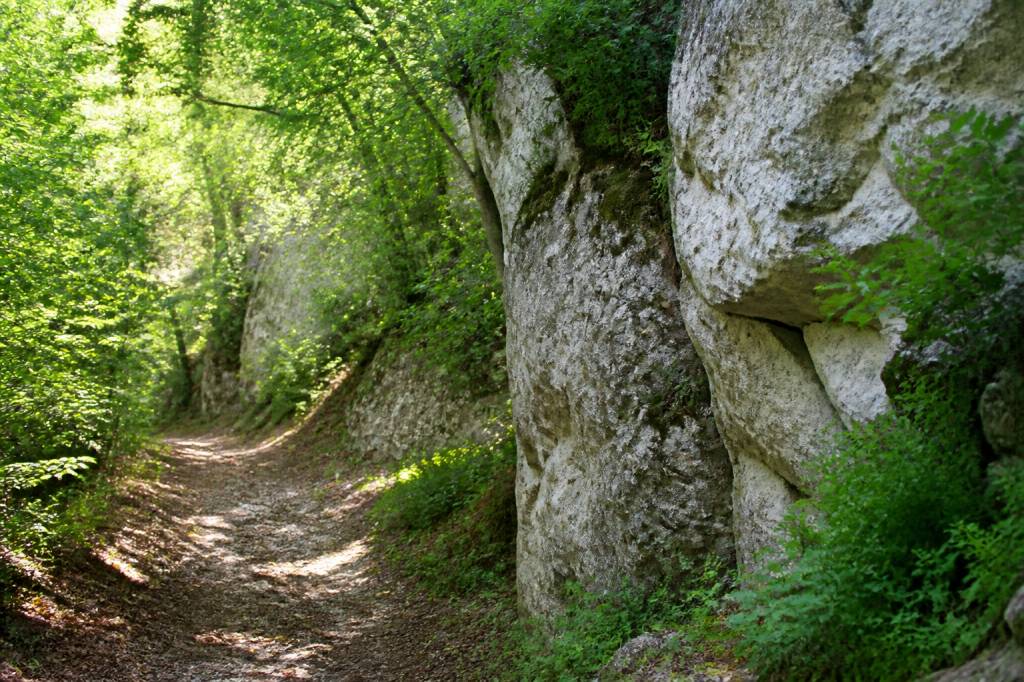 La combe à la Serpent Dijon : randonnée et découverte de la nature