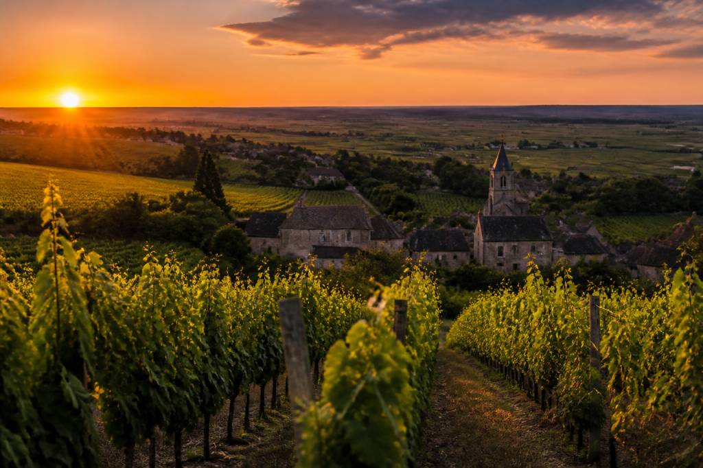 Œnotourisme en Bourgogne : les incontournables à découvrir